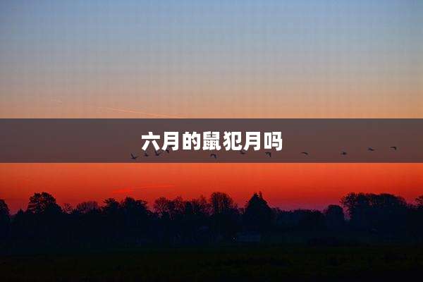六月的鼠犯月吗