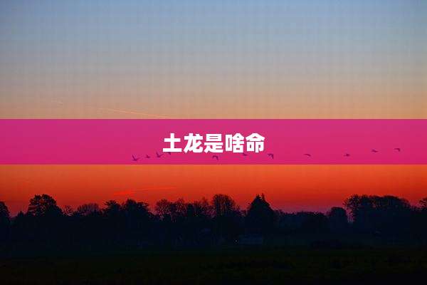 土龙是啥命