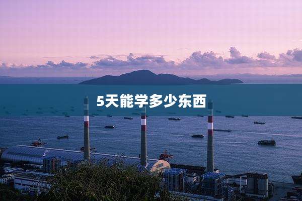 5天能学多少东西