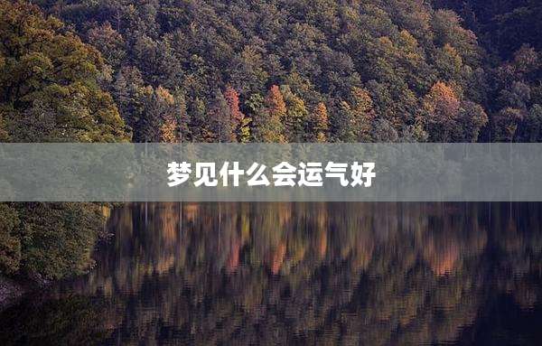 梦见什么会运气好