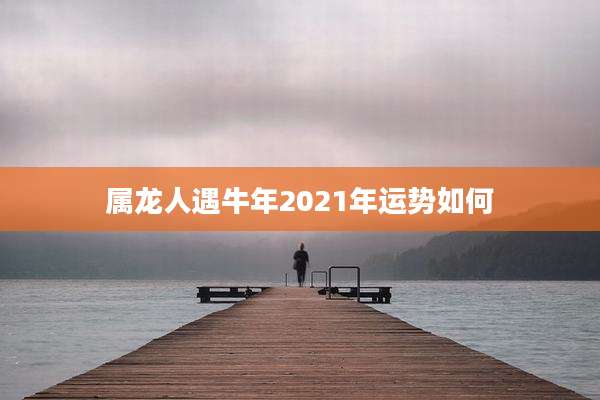 属龙人遇牛年2021年运势如何