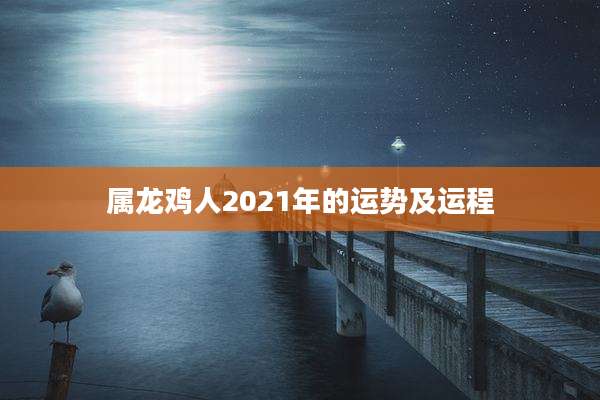 属龙鸡人2021年的运势及运程