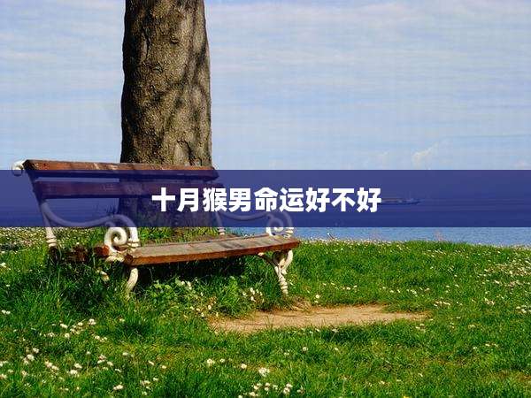 十月猴男命运好不好