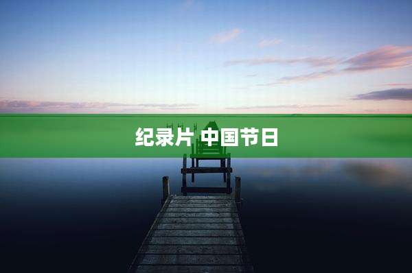 纪录片 中国节日