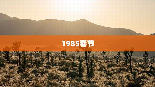 1985春节