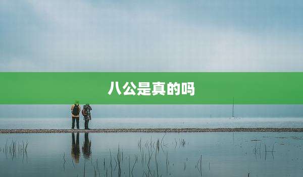 八公是真的吗