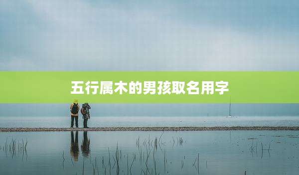五行属木的男孩取名用字