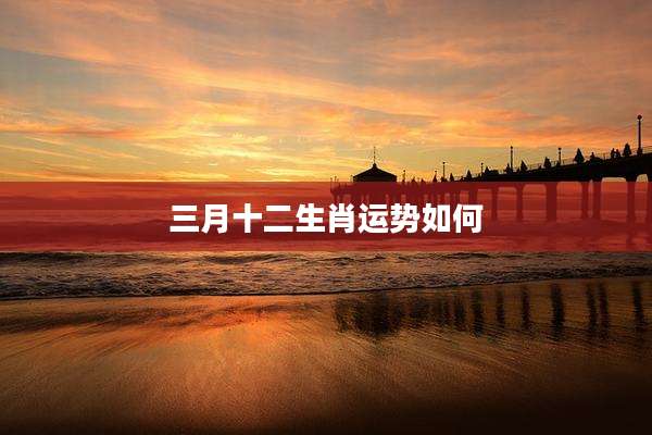 三月十二生肖运势如何