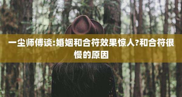 一尘师傅谈:婚姻和合符效果惊人?和合符很慢的原因