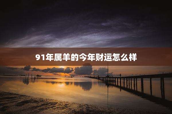 91年属羊的今年财运怎么样
