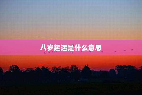 八岁起运是什么意思