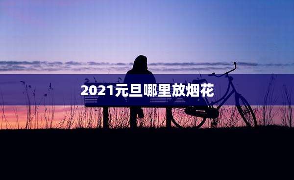 2021元旦哪里放烟花