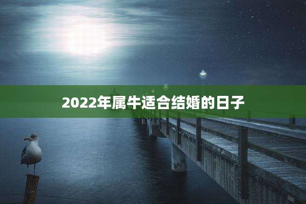 2022年属牛适合结婚的日子