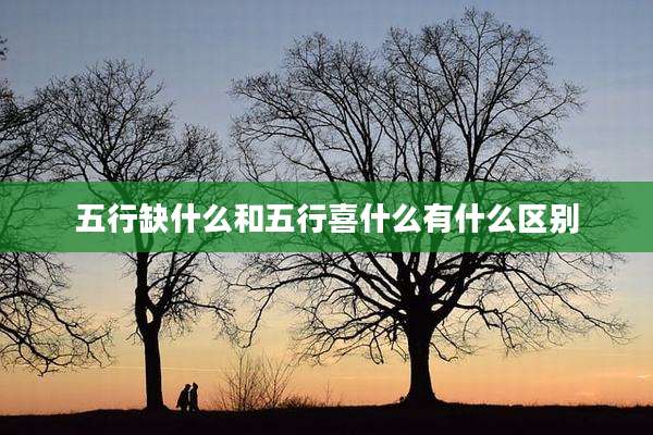 五行缺什么和五行喜什么有什么区别