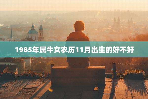 1985年属牛女农历11月出生的好不好