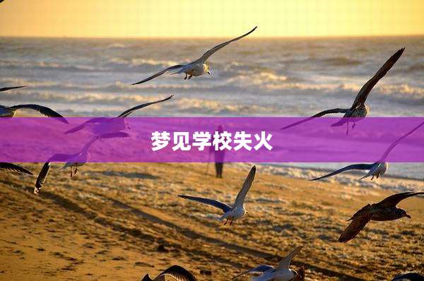 梦见学校失火