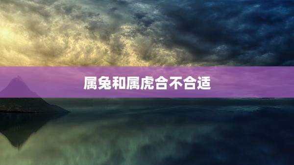 属兔和属虎合不合适