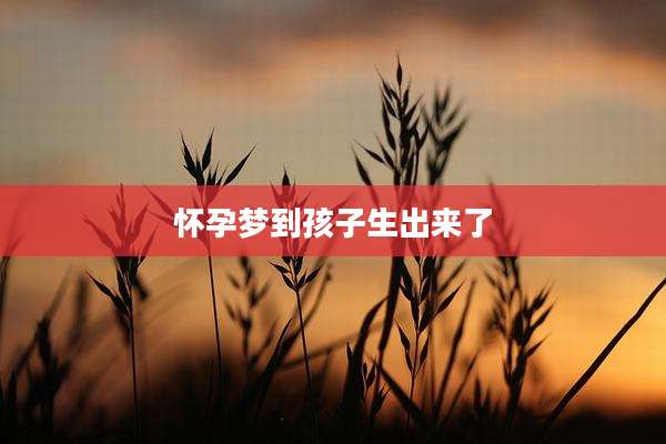 怀孕梦到孩子生出来了