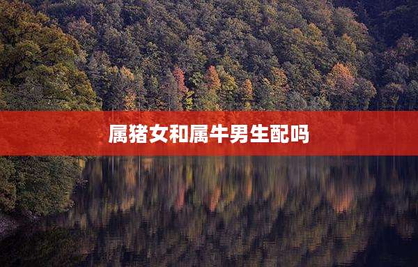 属猪女和属牛男生配吗