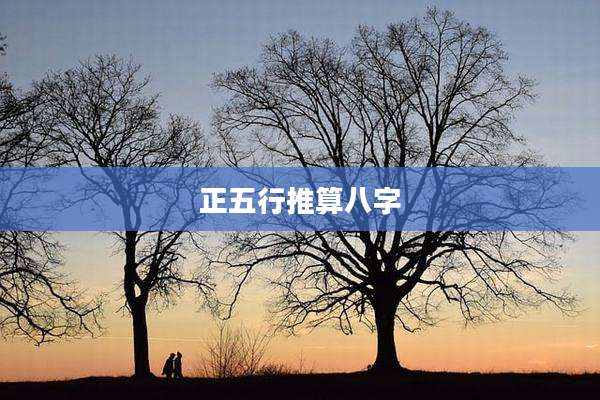 正五行推算八字