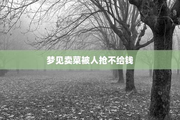 梦见卖菜被人抢不给钱