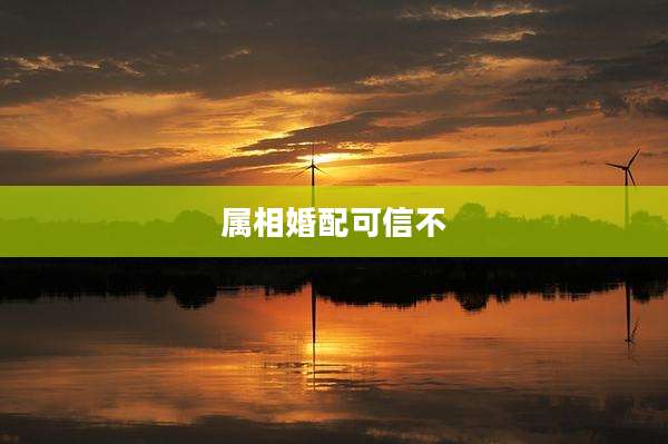 属相婚配可信不
