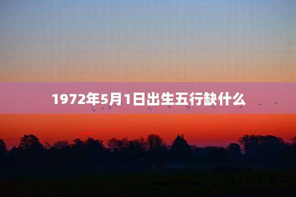 1972年5月1日出生五行缺什么