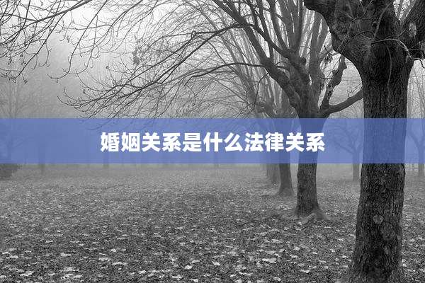 婚姻关系是什么法律关系