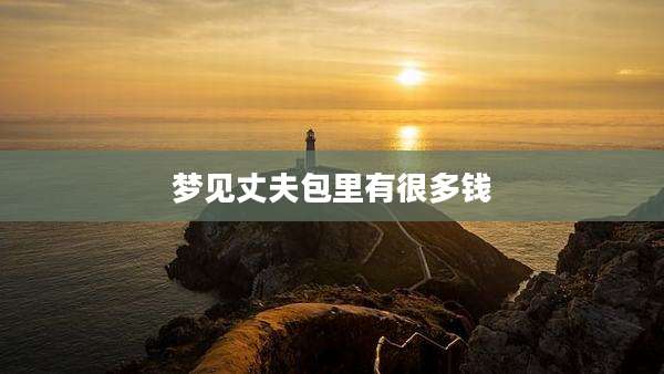 梦见丈夫包里有很多钱