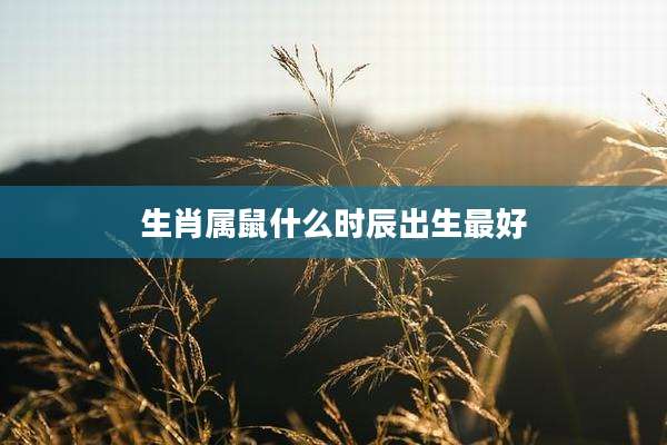 生肖属鼠什么时辰出生最好