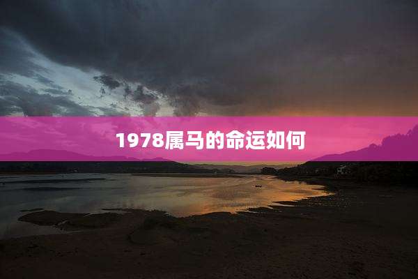 1978属马的命运如何