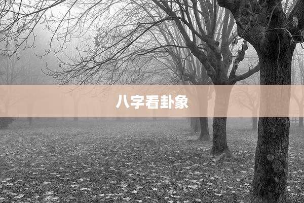 八字看卦象