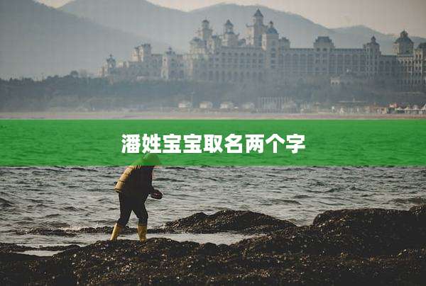 潘姓宝宝取名两个字