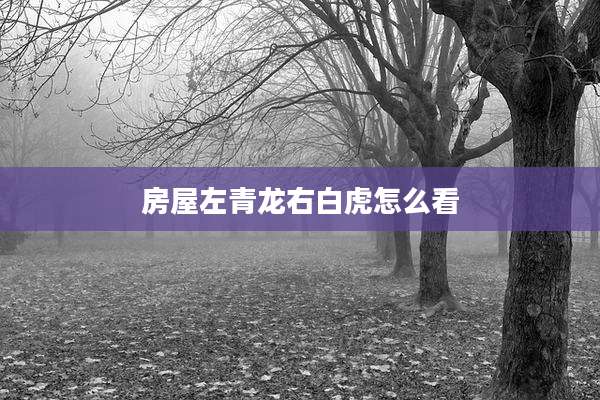 房屋左青龙右白虎怎么看