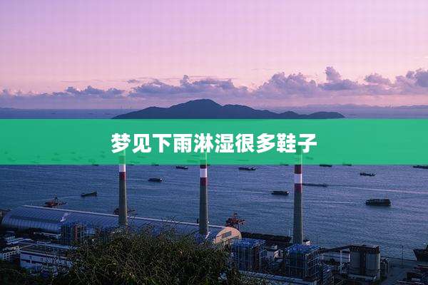 梦见下雨淋湿很多鞋子