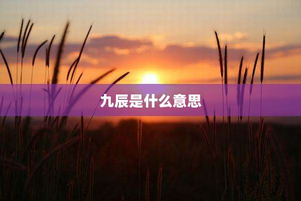 九辰是什么意思