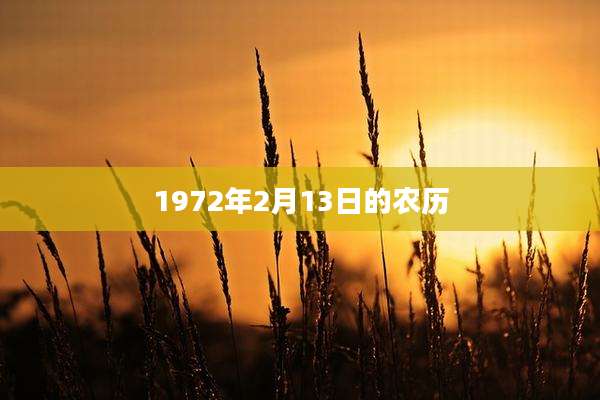 1972年2月13日的农历
