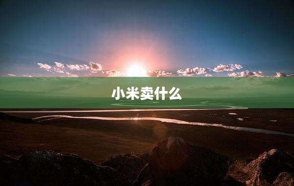小米卖什么