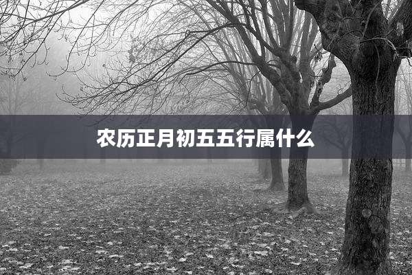 农历正月初五五行属什么