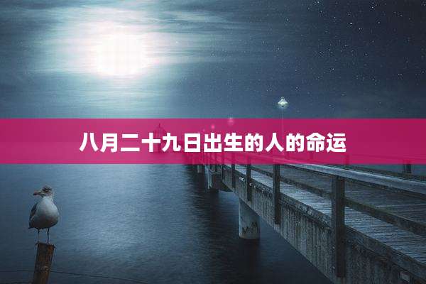 八月二十九日出生的人的命运