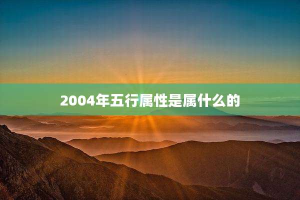 2004年五行属性是属什么的