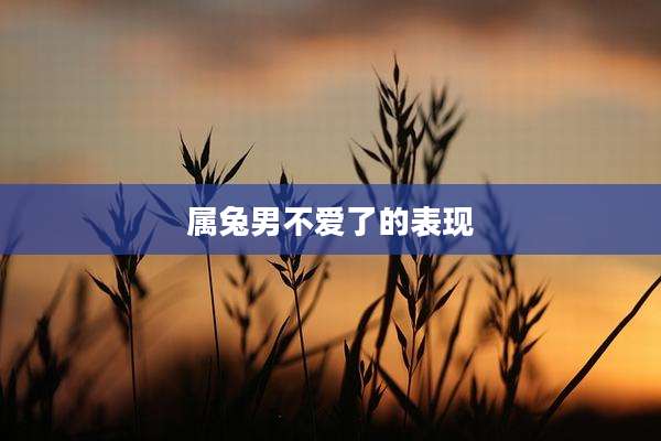 属兔男不爱了的表现