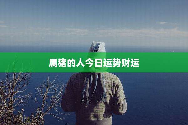 属猪的人今日运势财运