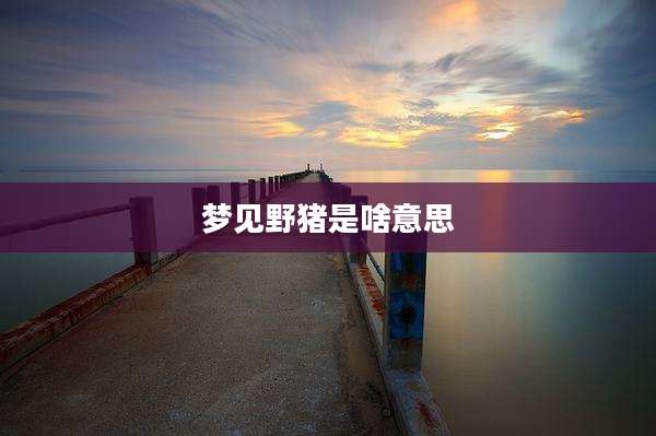 梦见野猪是啥意思