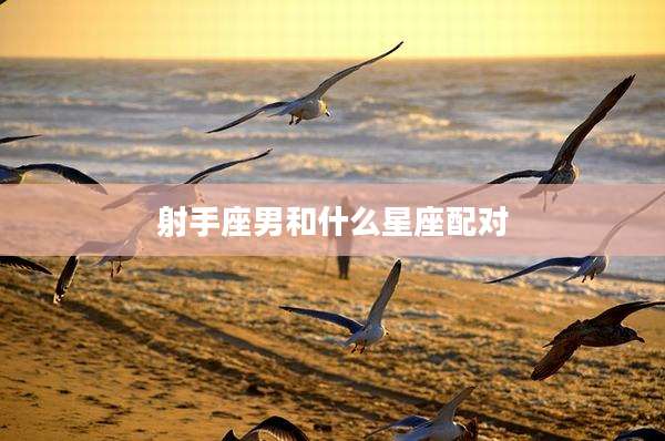 射手座男和什么星座配对