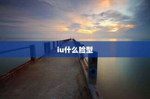 iu什么脸型
