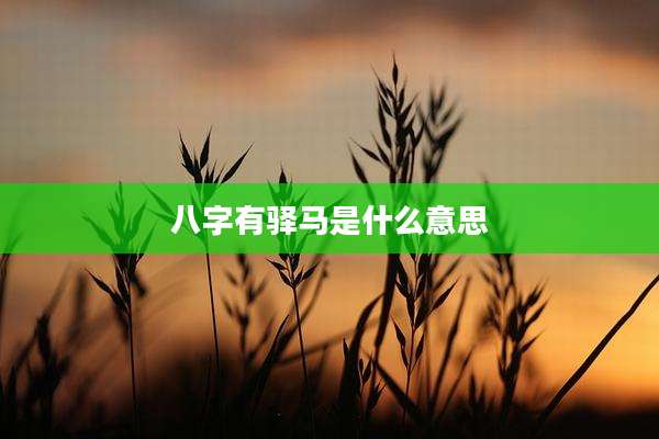 八字有驿马是什么意思