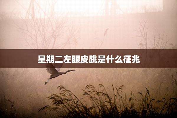 星期二左眼皮跳是什么征兆