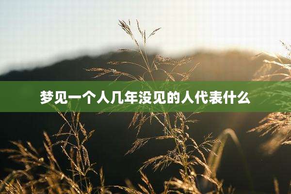 梦见一个人几年没见的人代表什么