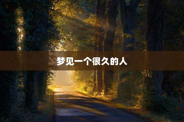 梦见一个很久的人